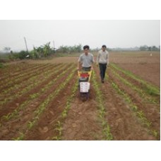 Machine Check seeds, hoeing and fertilizing grass Model 3WG-5