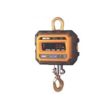 500 Kg Weigh hanging CastonI 0.5THA