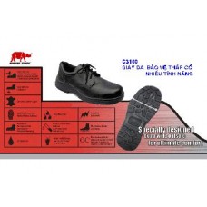 Footwear protecting GI3100